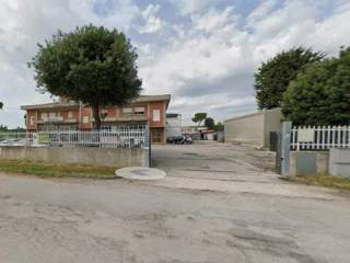 Zona