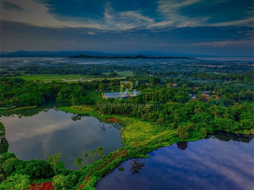 Vista