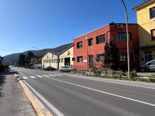 Zona