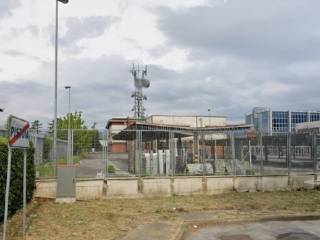 Zona
