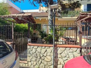 Zona