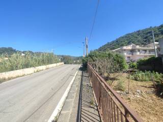 Zona