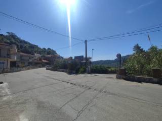 Zona