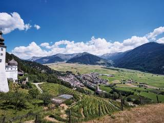 Vista