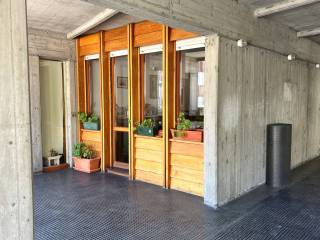 Ingresso