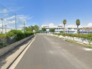 Zona