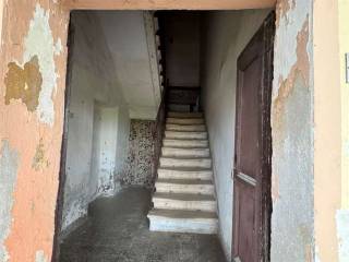 Scala