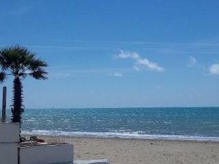 Zona