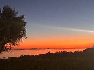 Vista