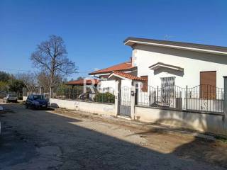 Zona