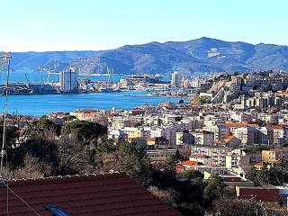 Vista
