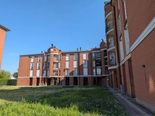 Vista