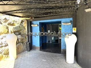 Ingresso