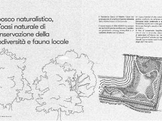 Planimetria