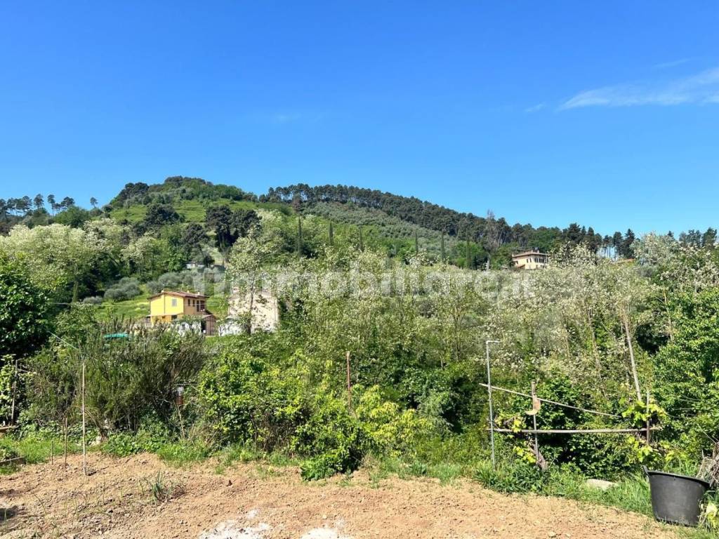 Terreno