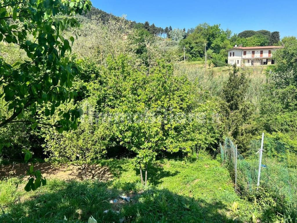 Terreno