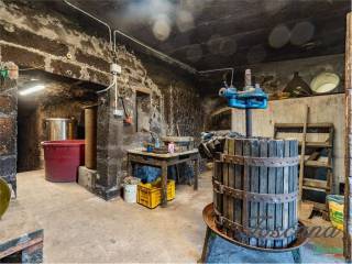 Cantina