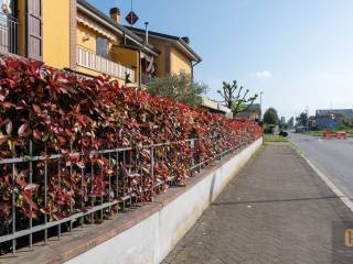 Zona