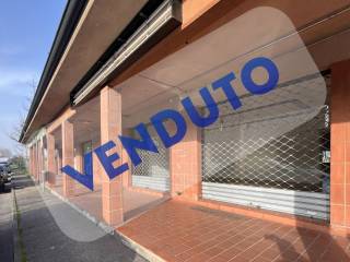 Ingresso