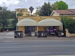 Zona