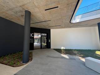 Ingresso