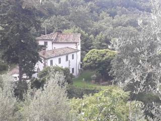 Vista