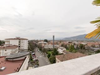 Vista