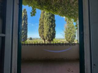 Vista