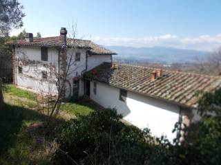 Vista