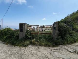 Zona