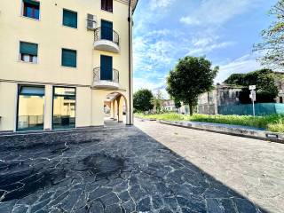 Zona