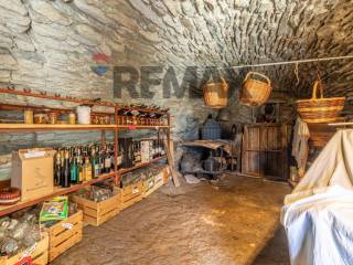 Cantina