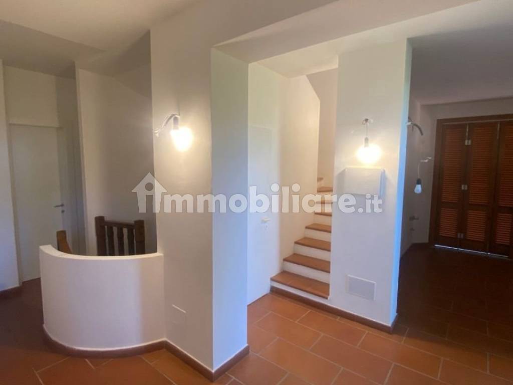 Ingresso