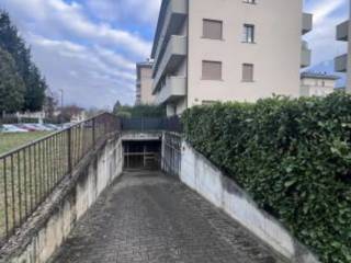 Zona
