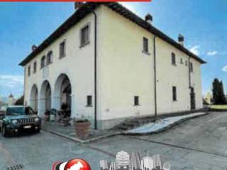 Zona