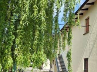 Zona