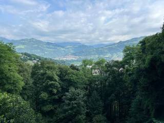 Vista