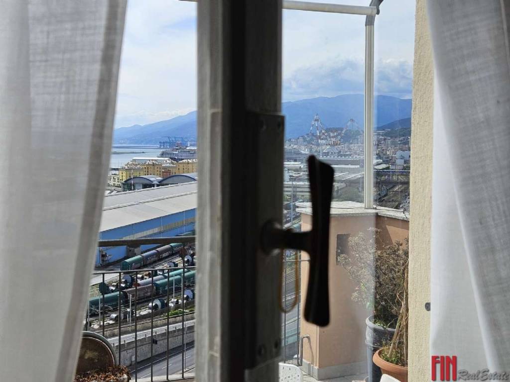 Vista