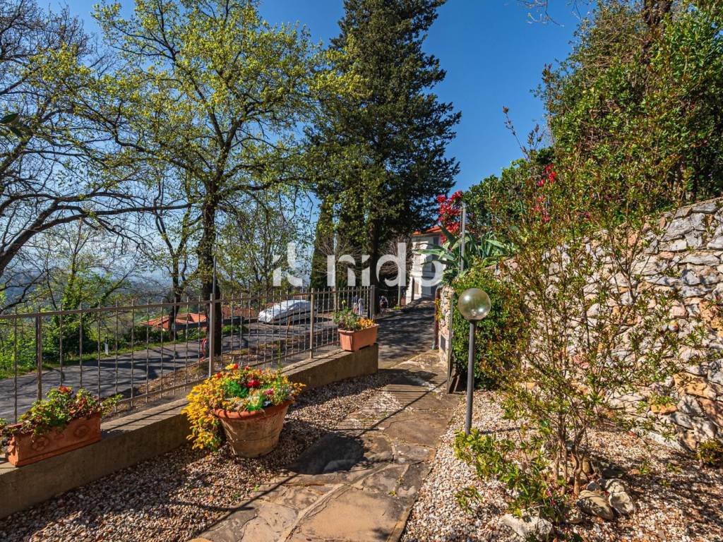 Giardino