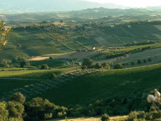 Vista