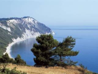 Vista