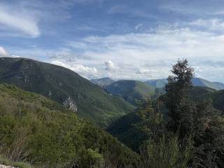 Vista