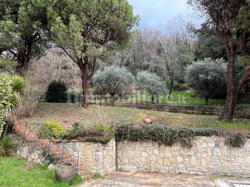 Giardino