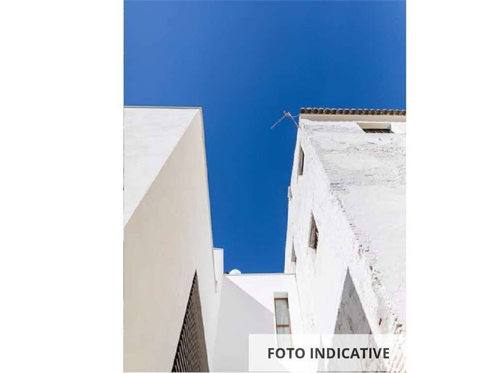 Vista