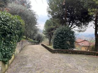 Ingresso