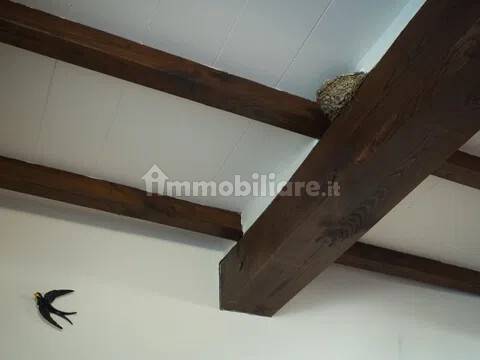 Altro