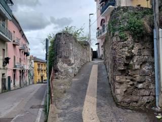 Zona