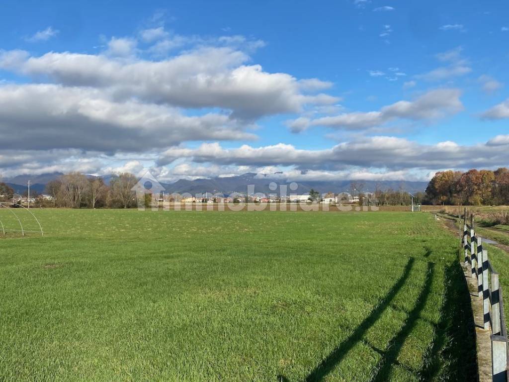 Terreno