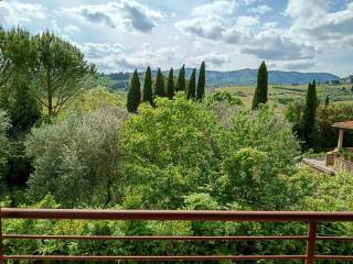 Vista
