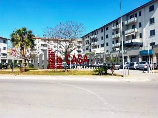 Zona